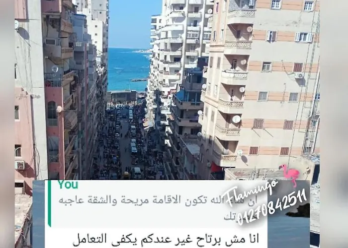 Flamingo Khaled Ibn Elwaleed